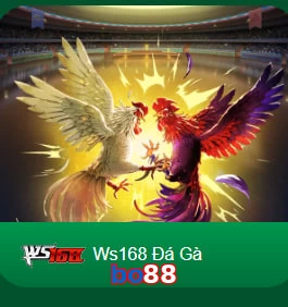 bo88